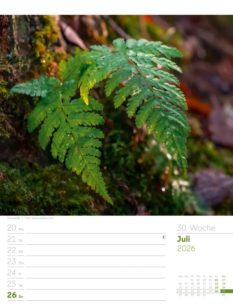 Bild: 9783838426976 | Unser Wald Wochenplaner Kalender 2026 | Ackermann Kunstverlag GmbH