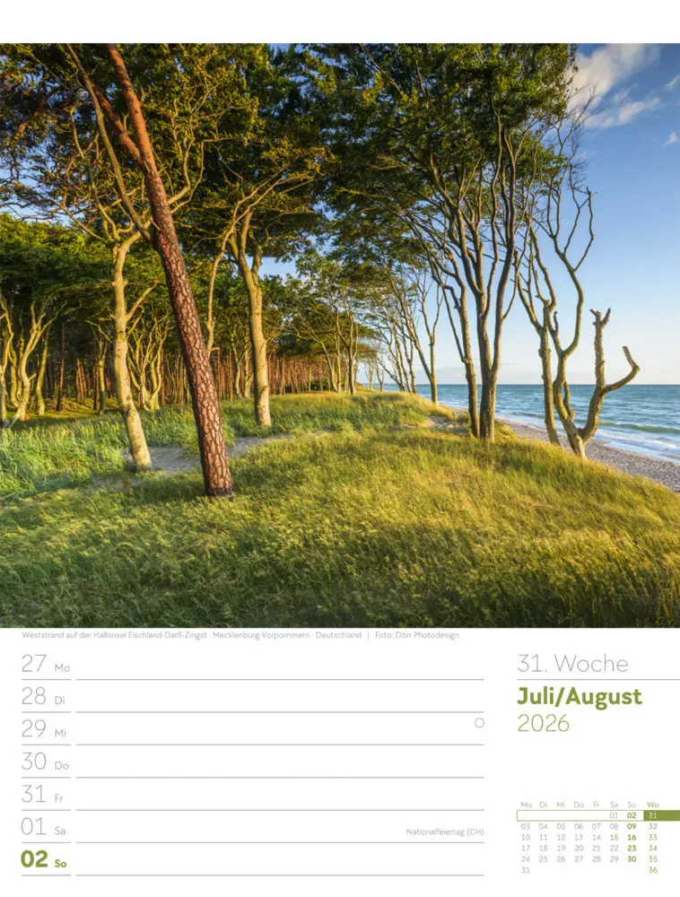 Bild: 9783838426976 | Unser Wald Wochenplaner Kalender 2026 | Ackermann Kunstverlag GmbH