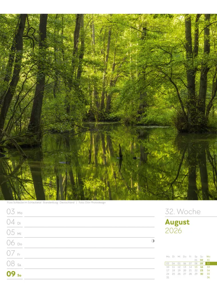 Bild: 9783838426976 | Unser Wald Wochenplaner Kalender 2026 | Ackermann Kunstverlag GmbH