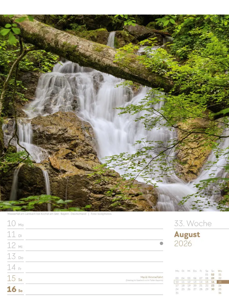 Bild: 9783838426976 | Unser Wald Wochenplaner Kalender 2026 | Ackermann Kunstverlag GmbH