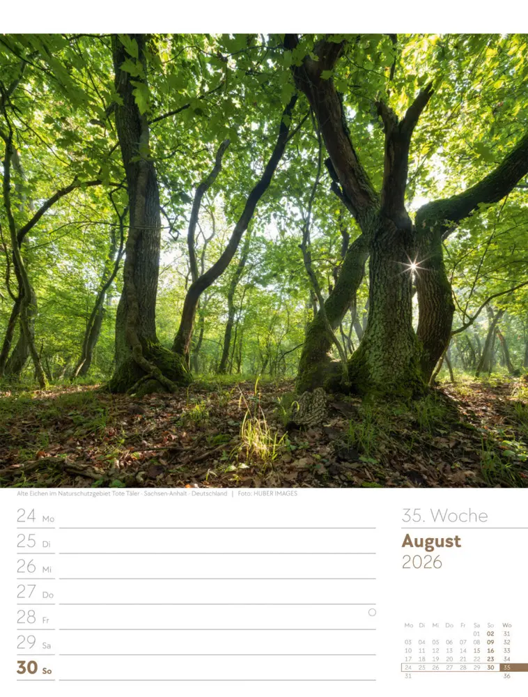 Bild: 9783838426976 | Unser Wald Wochenplaner Kalender 2026 | Ackermann Kunstverlag GmbH