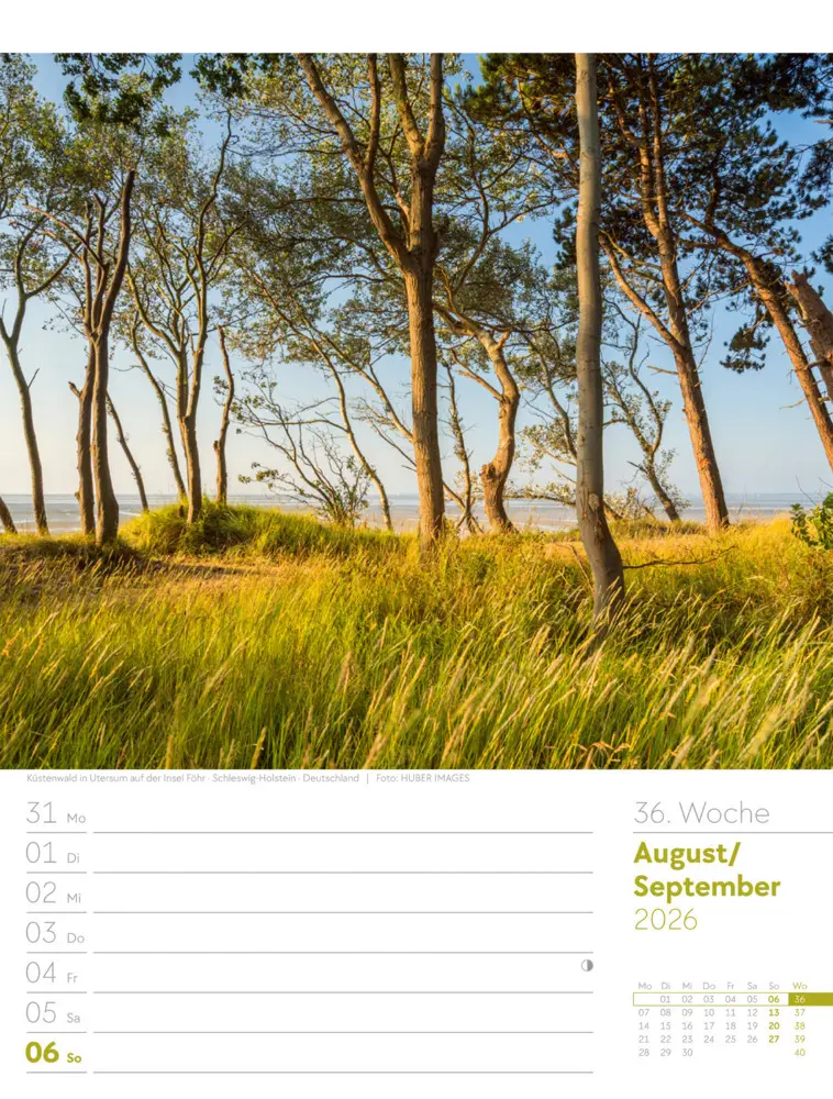 Bild: 9783838426976 | Unser Wald Wochenplaner Kalender 2026 | Ackermann Kunstverlag GmbH