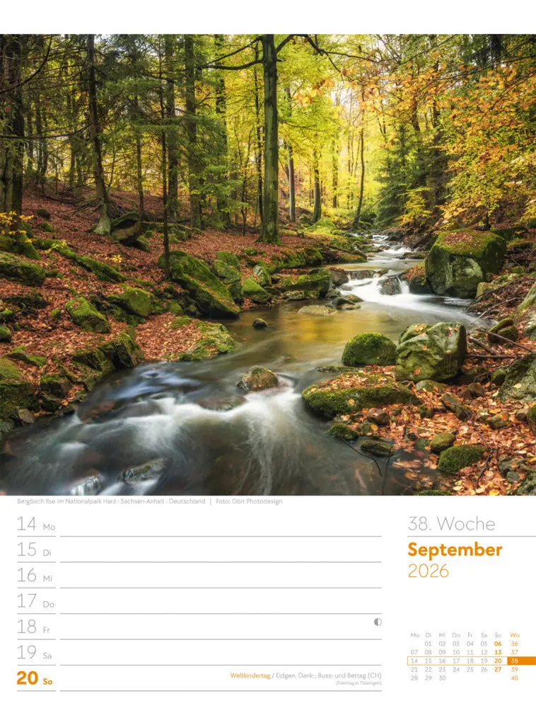Bild: 9783838426976 | Unser Wald Wochenplaner Kalender 2026 | Ackermann Kunstverlag GmbH