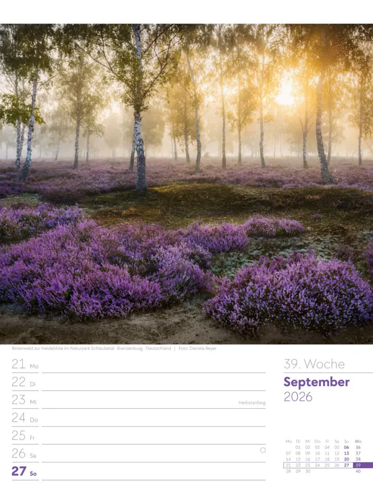Bild: 9783838426976 | Unser Wald Wochenplaner Kalender 2026 | Ackermann Kunstverlag GmbH