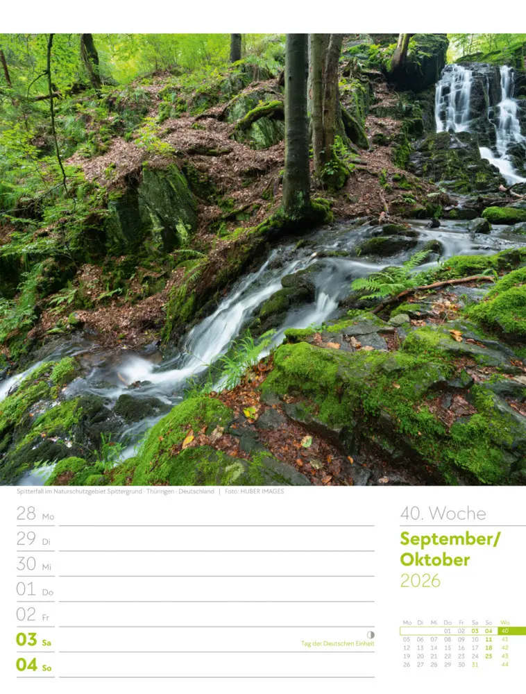 Bild: 9783838426976 | Unser Wald Wochenplaner Kalender 2026 | Ackermann Kunstverlag GmbH