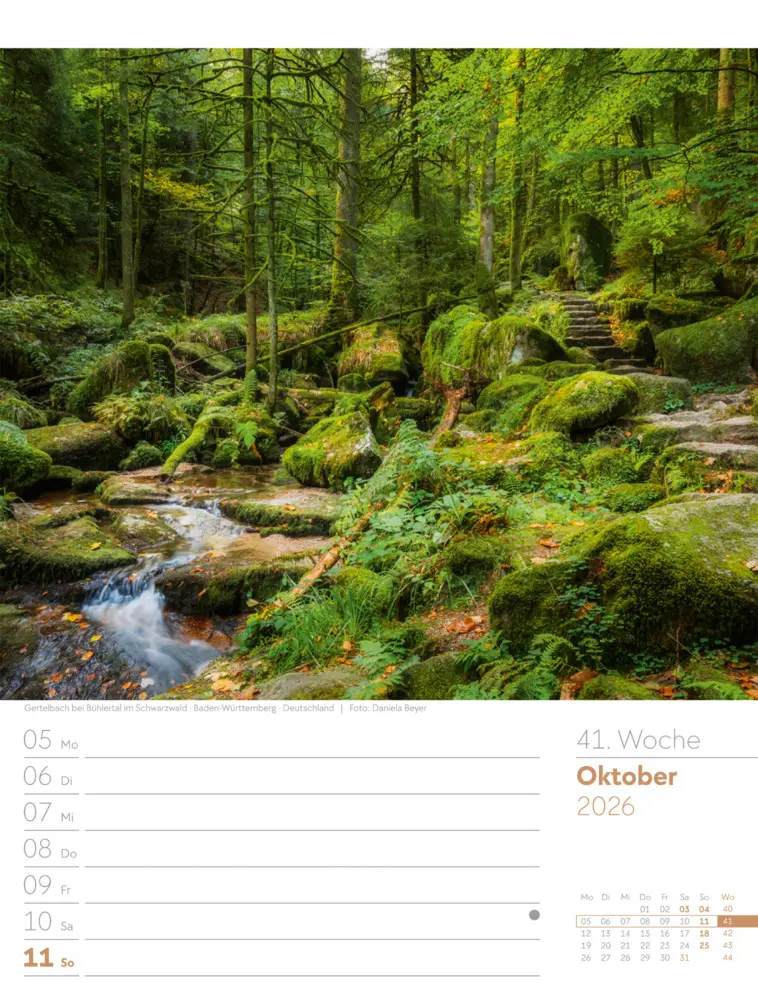 Bild: 9783838426976 | Unser Wald Wochenplaner Kalender 2026 | Ackermann Kunstverlag GmbH