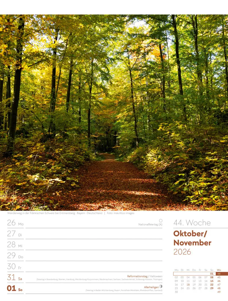 Bild: 9783838426976 | Unser Wald Wochenplaner Kalender 2026 | Ackermann Kunstverlag GmbH