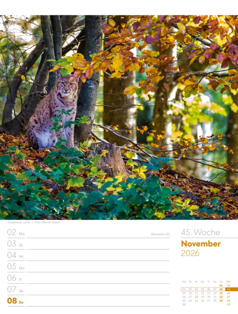 Bild: 9783838426976 | Unser Wald Wochenplaner Kalender 2026 | Ackermann Kunstverlag GmbH