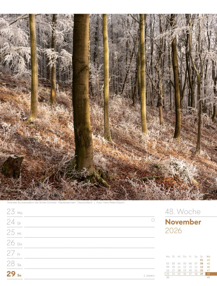 Bild: 9783838426976 | Unser Wald Wochenplaner Kalender 2026 | Ackermann Kunstverlag GmbH