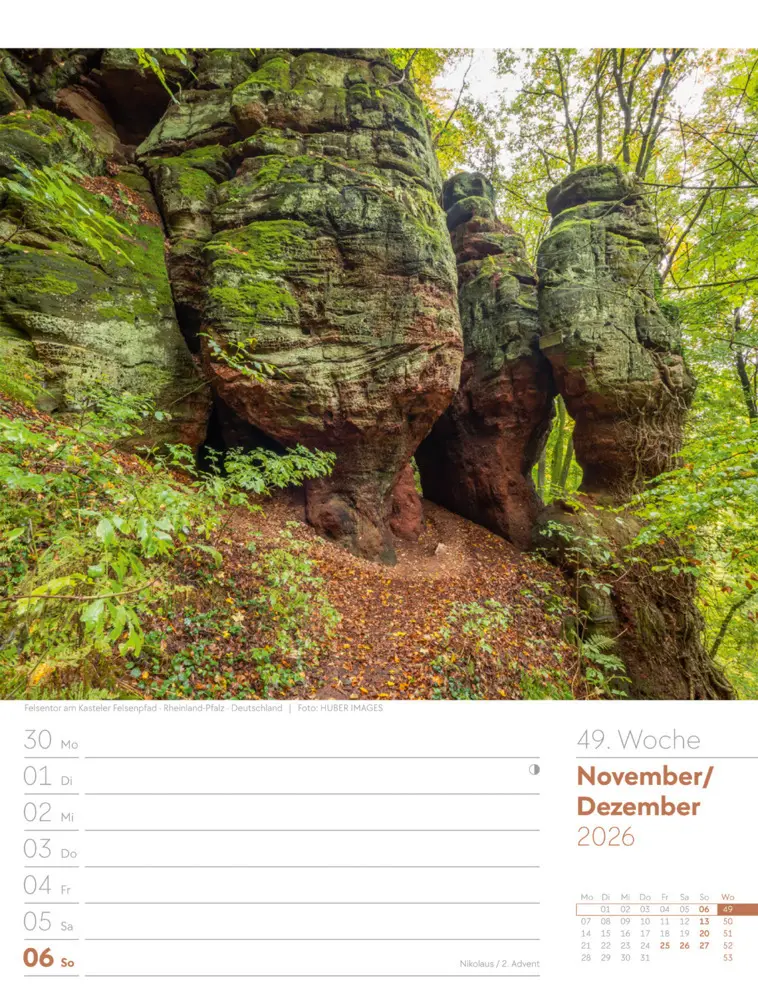 Bild: 9783838426976 | Unser Wald Wochenplaner Kalender 2026 | Ackermann Kunstverlag GmbH