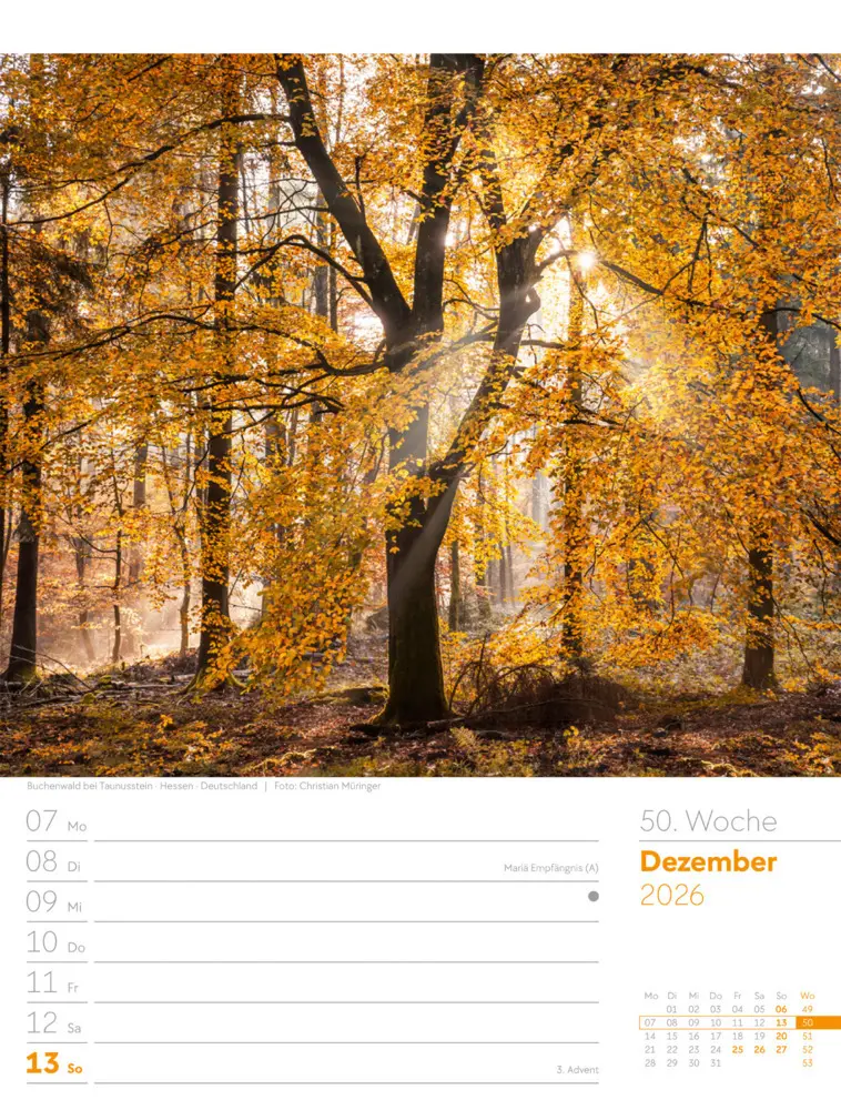 Bild: 9783838426976 | Unser Wald Wochenplaner Kalender 2026 | Ackermann Kunstverlag GmbH