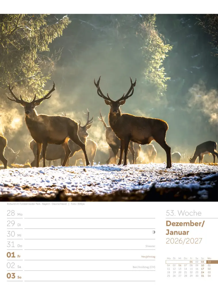 Bild: 9783838426976 | Unser Wald Wochenplaner Kalender 2026 | Ackermann Kunstverlag GmbH