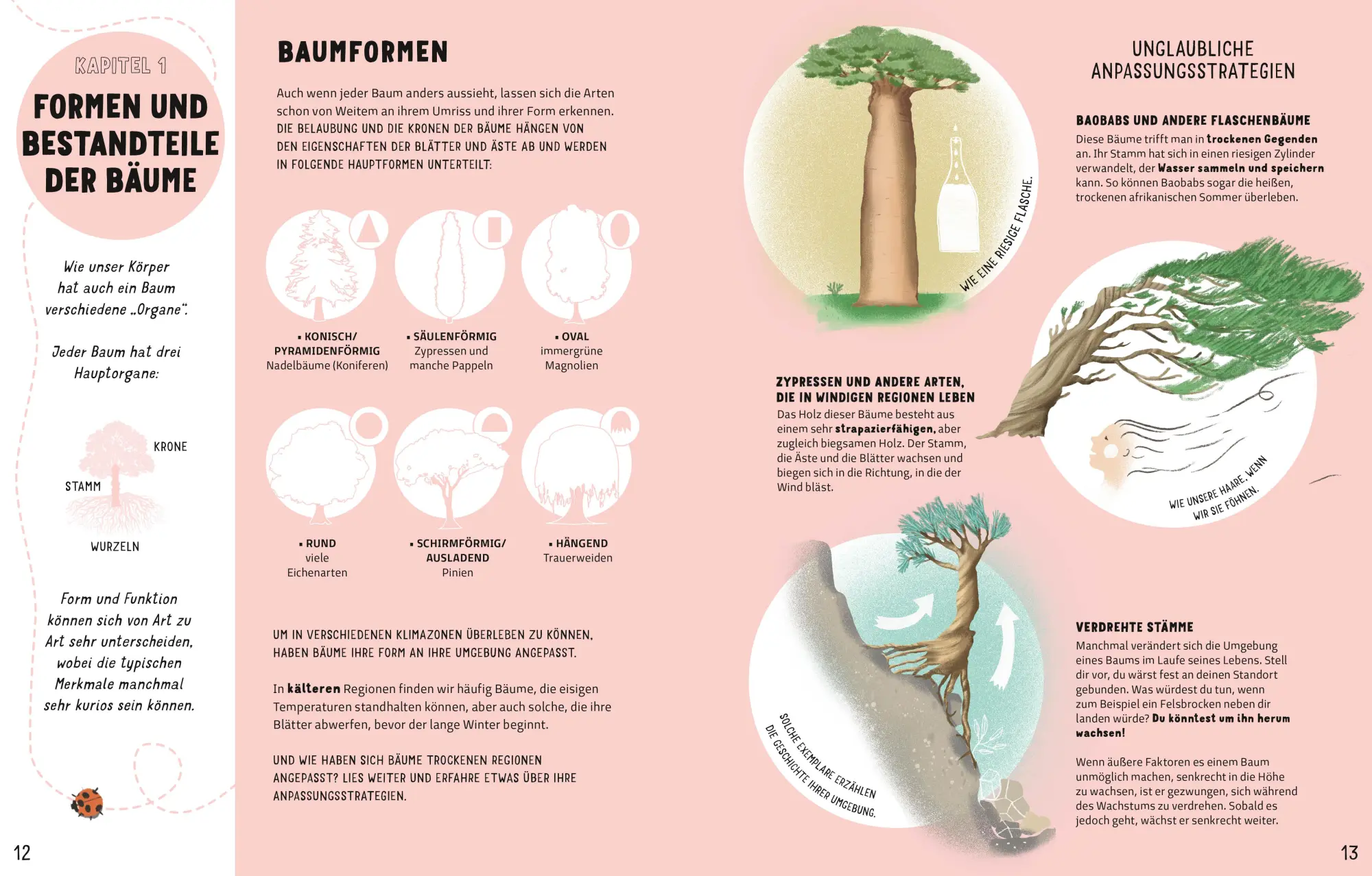 Bild: 9788863126976 | Das Geheimnis der Bäume. Ein Naturbilderbuch | Novellino | Buch | 2024