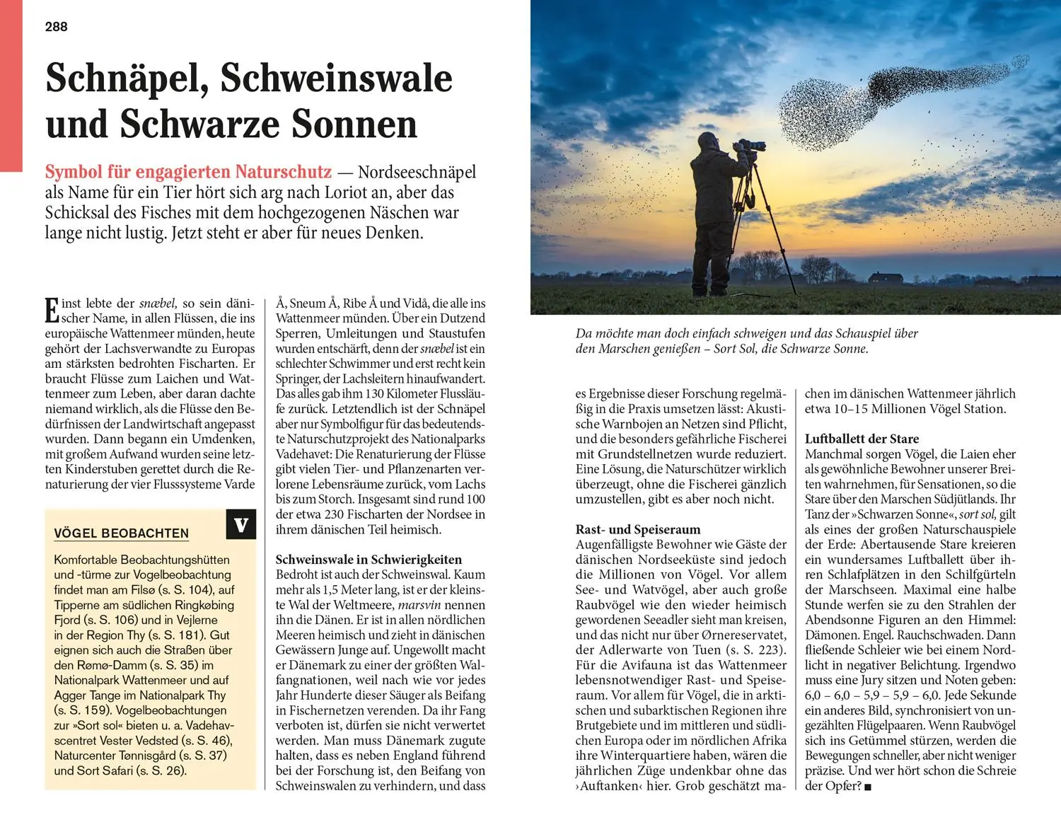 Bild: 9783616007076 | DUMONT Reise-Taschenbuch Reiseführer Dänemark Nordseeküste | Klüche