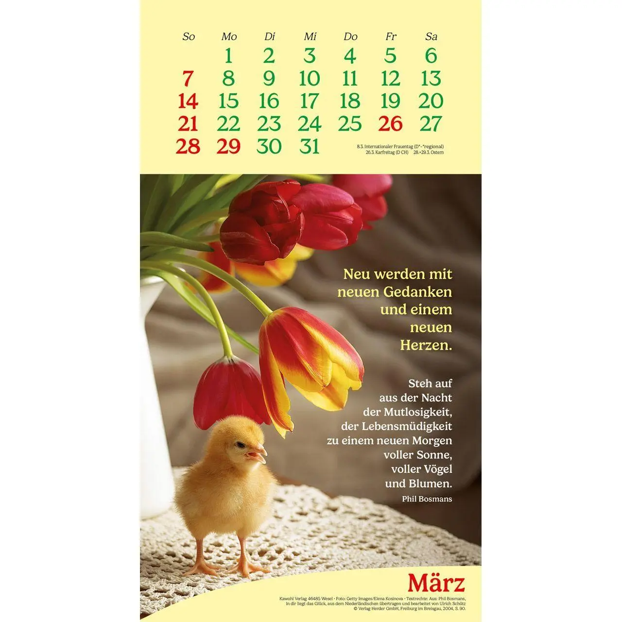 Bild: 9783754857076 | Vitamine fürs Herz 2027 | Phil-Bosmans-Kalender | Phil Bosmans | 14 S.