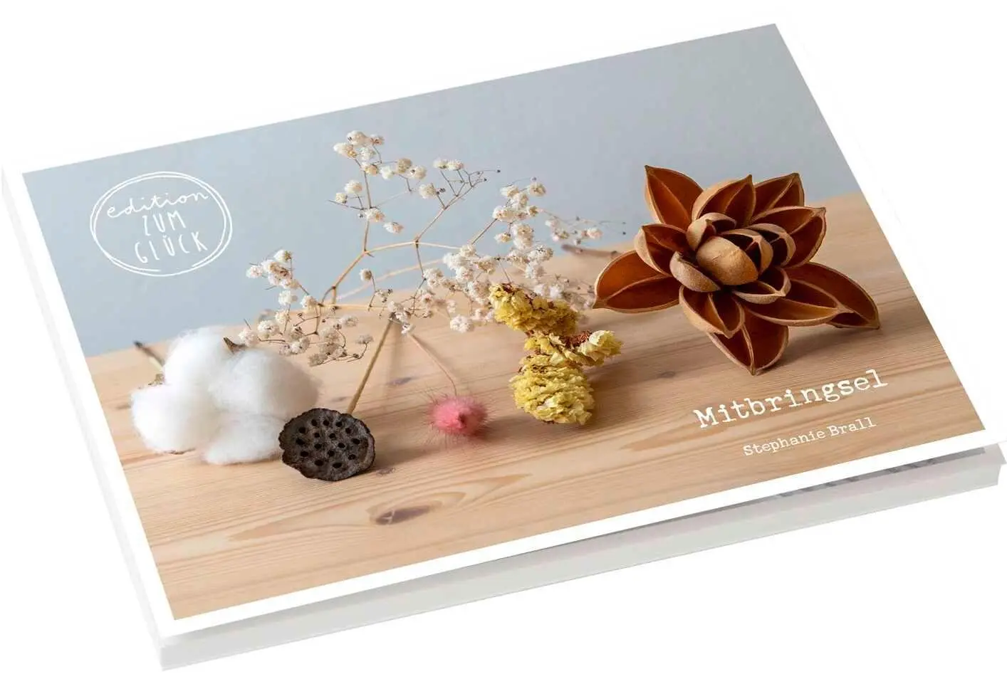 Cover: 4251693907176 | Mitbringsel - Postkartenbuch | Stephanie Brall | Taschenbuch | 20 S.