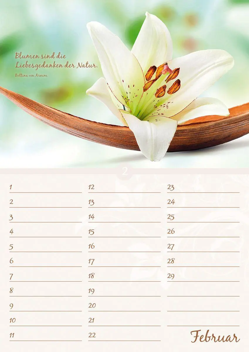 Bild: 9783840737176 | Geburtstagskalender Blütenpracht immerwährend | Kalender | 14 S.