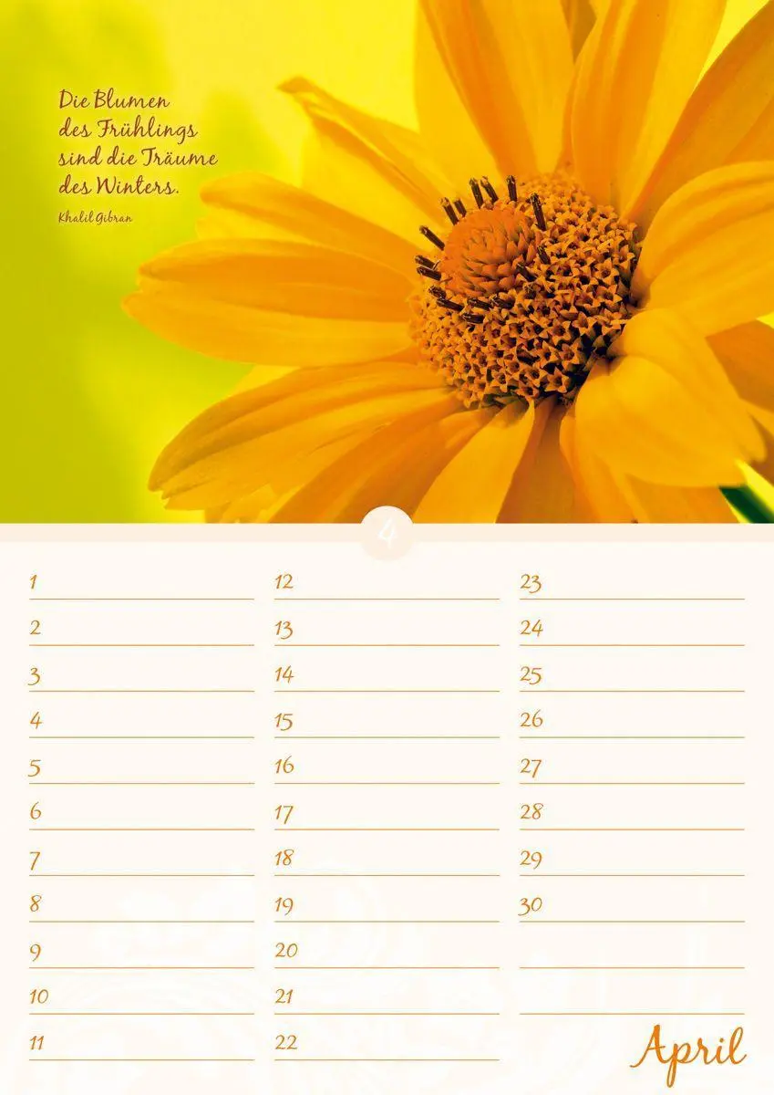 Bild: 9783840737176 | Geburtstagskalender Blütenpracht immerwährend | Kalender | 14 S.