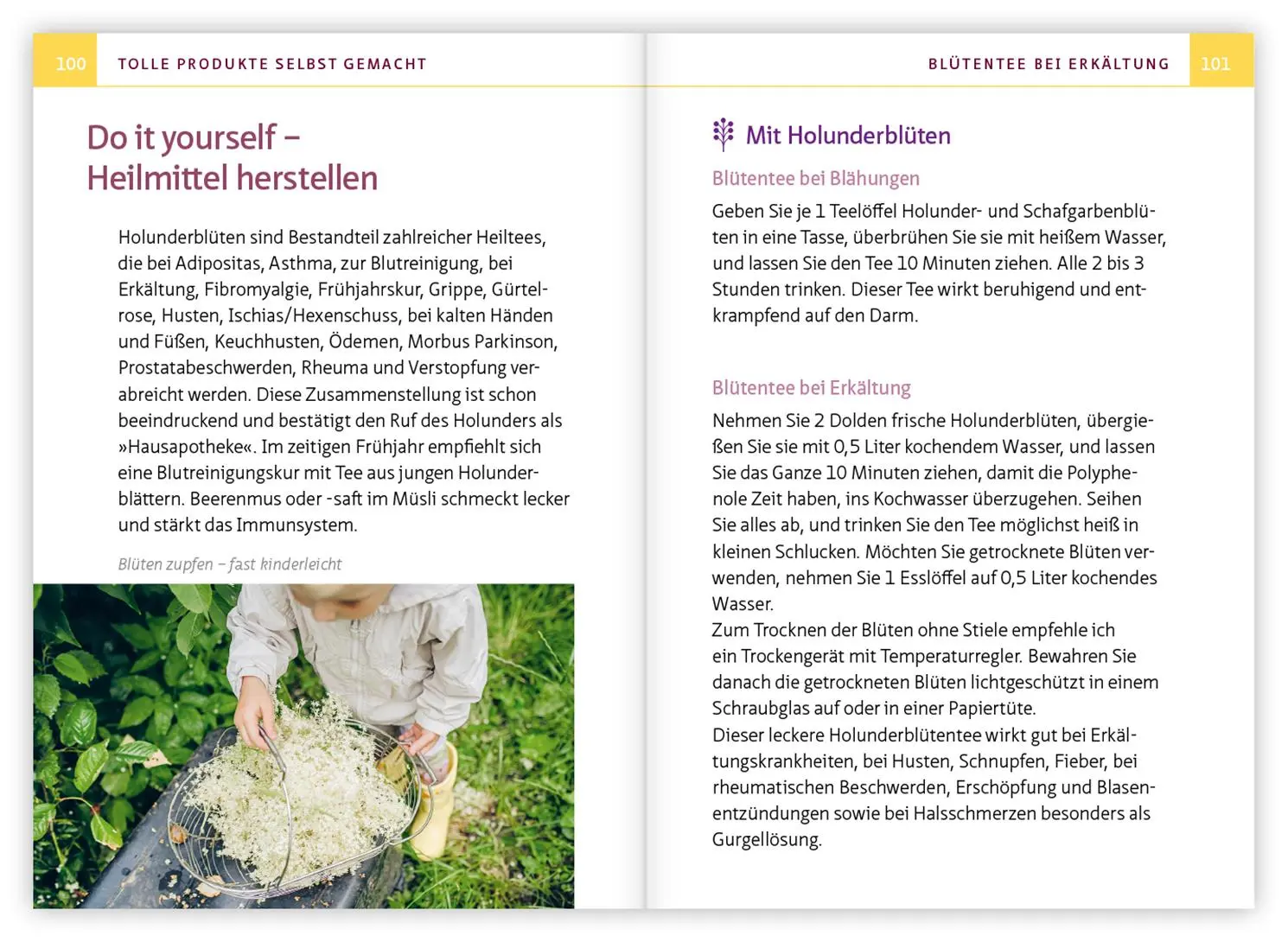 Bild: 9783863747176 | Holunder - Juwel der Hausapotheke. Kompakt-Ratgeber | Simonsohn | Buch