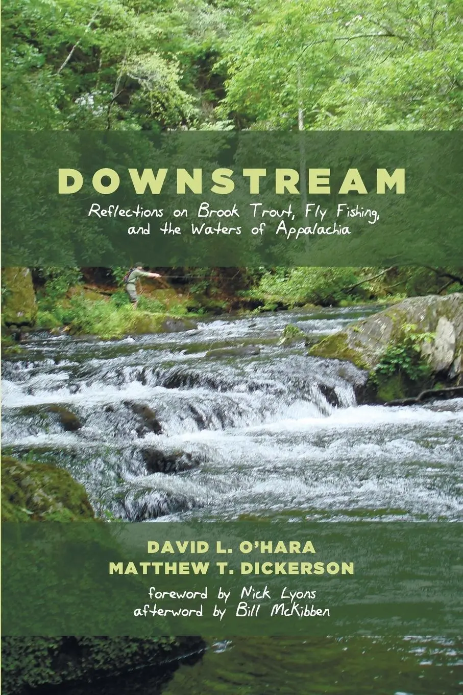 Cover: 9781625647276 | Downstream | David L. O'Hara (u. a.) | Taschenbuch | Englisch | 2014