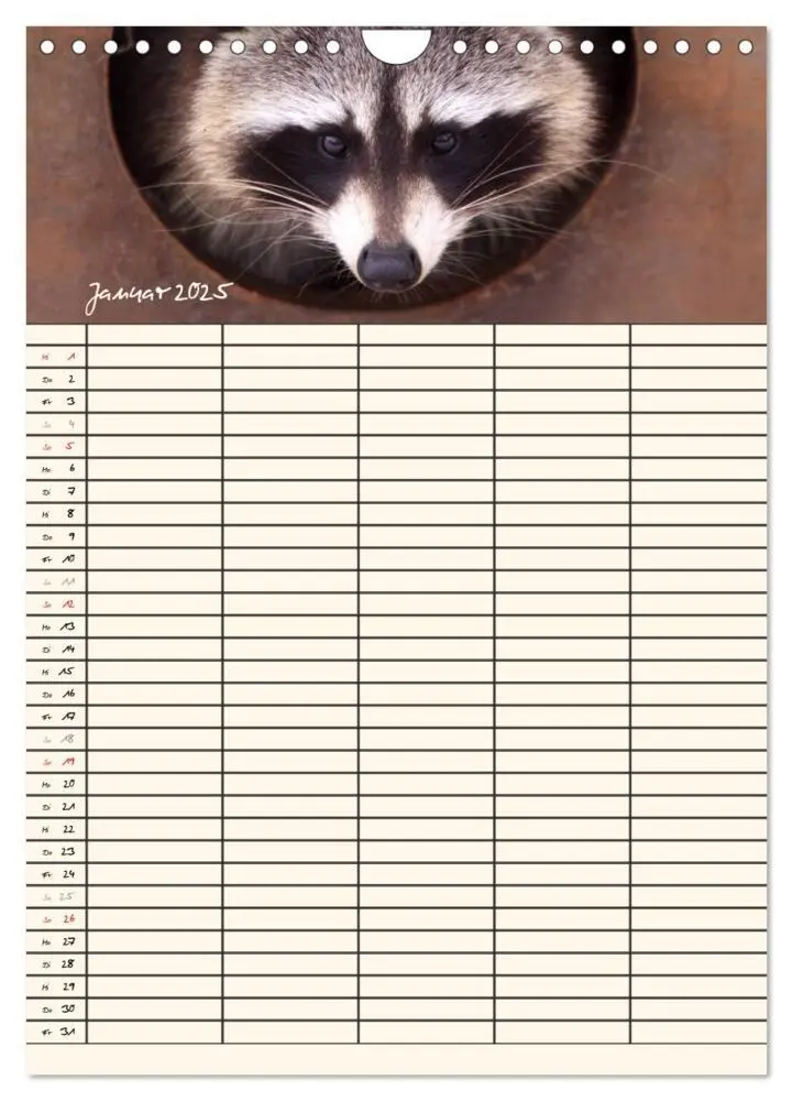 Bild: 9783457077276 | Waschbären Familienplaner (Wandkalender 2025 DIN A4 hoch), CALVENDO...