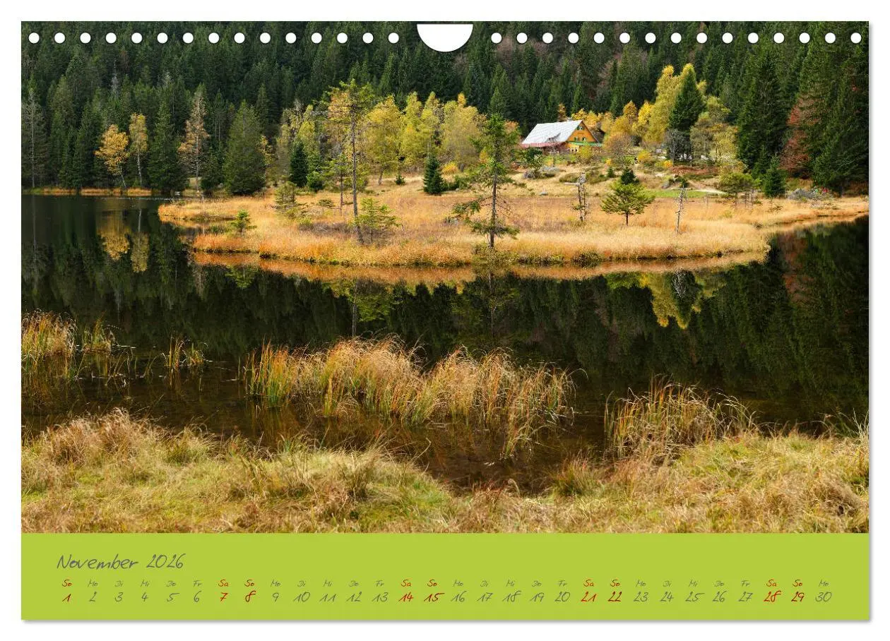 Bild: 9783457767276 | Der Bayerische Wald (Wandkalender 2026 DIN A4 quer), CALVENDO...