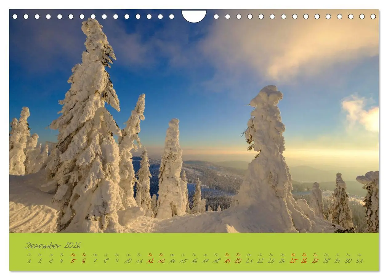 Bild: 9783457767276 | Der Bayerische Wald (Wandkalender 2026 DIN A4 quer), CALVENDO...