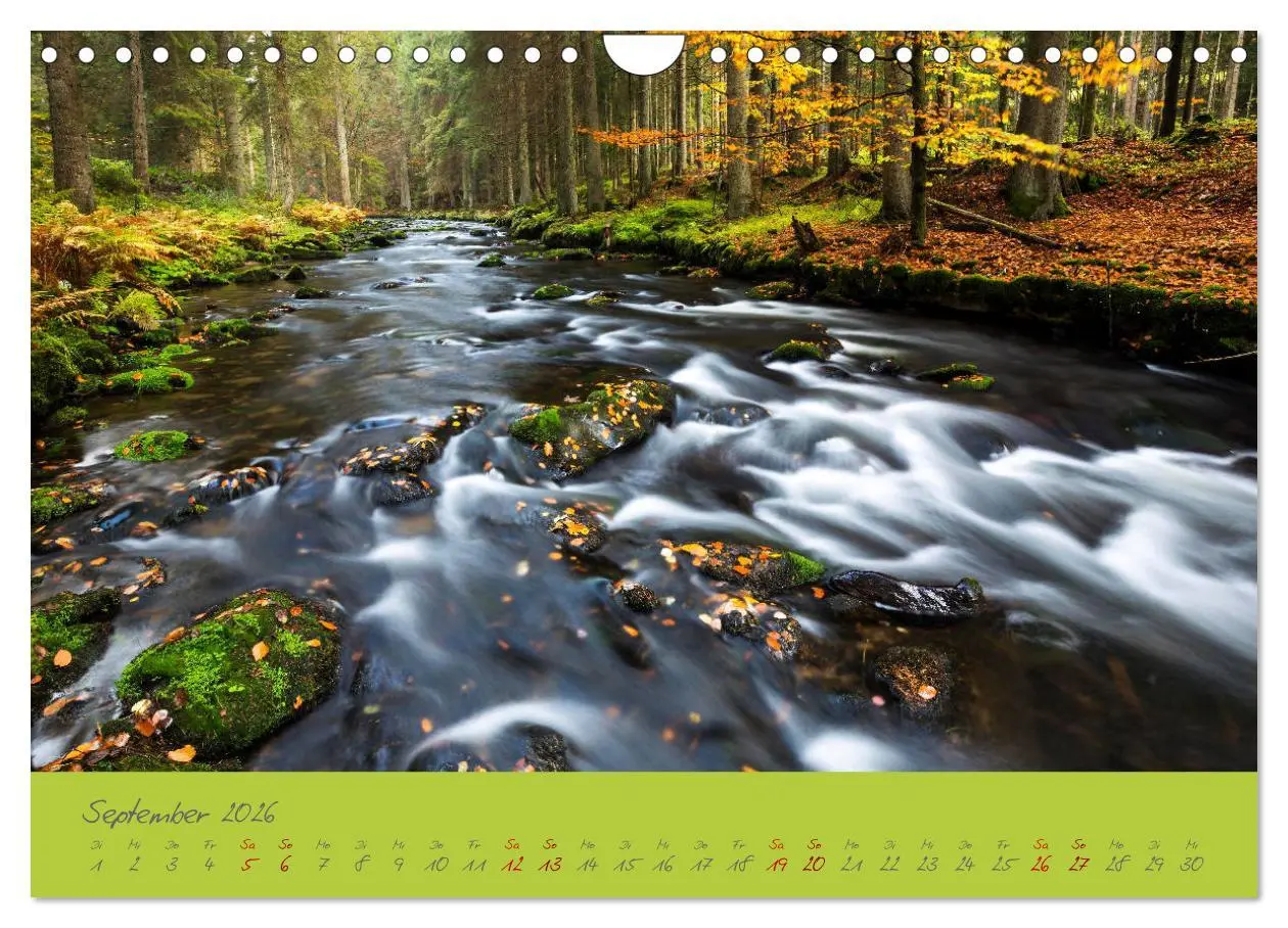 Bild: 9783457767276 | Der Bayerische Wald (Wandkalender 2026 DIN A4 quer), CALVENDO...