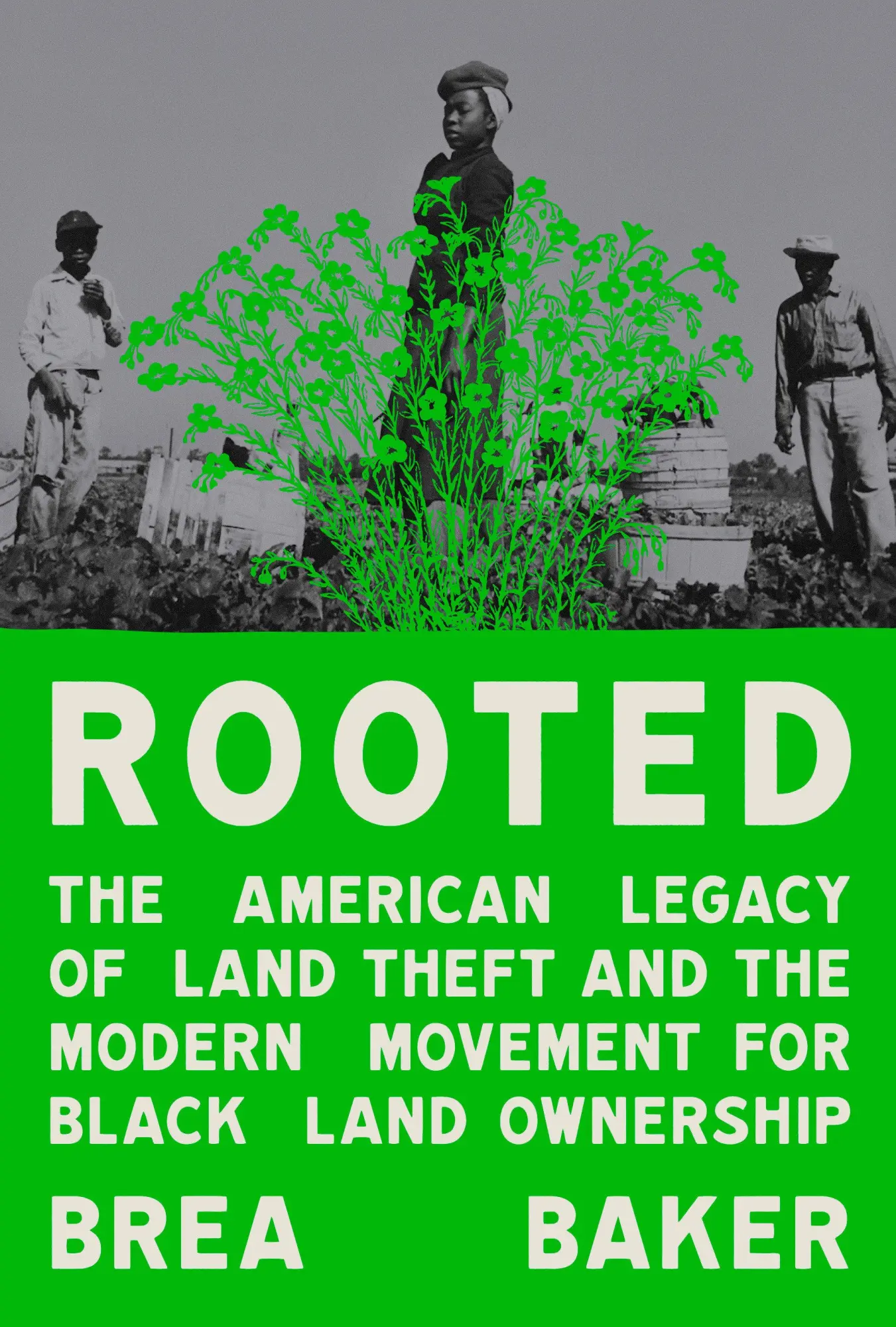Cover: 9780593447376 | Rooted | Brea Baker | Buch | Einband - fest (Hardcover) | Englisch