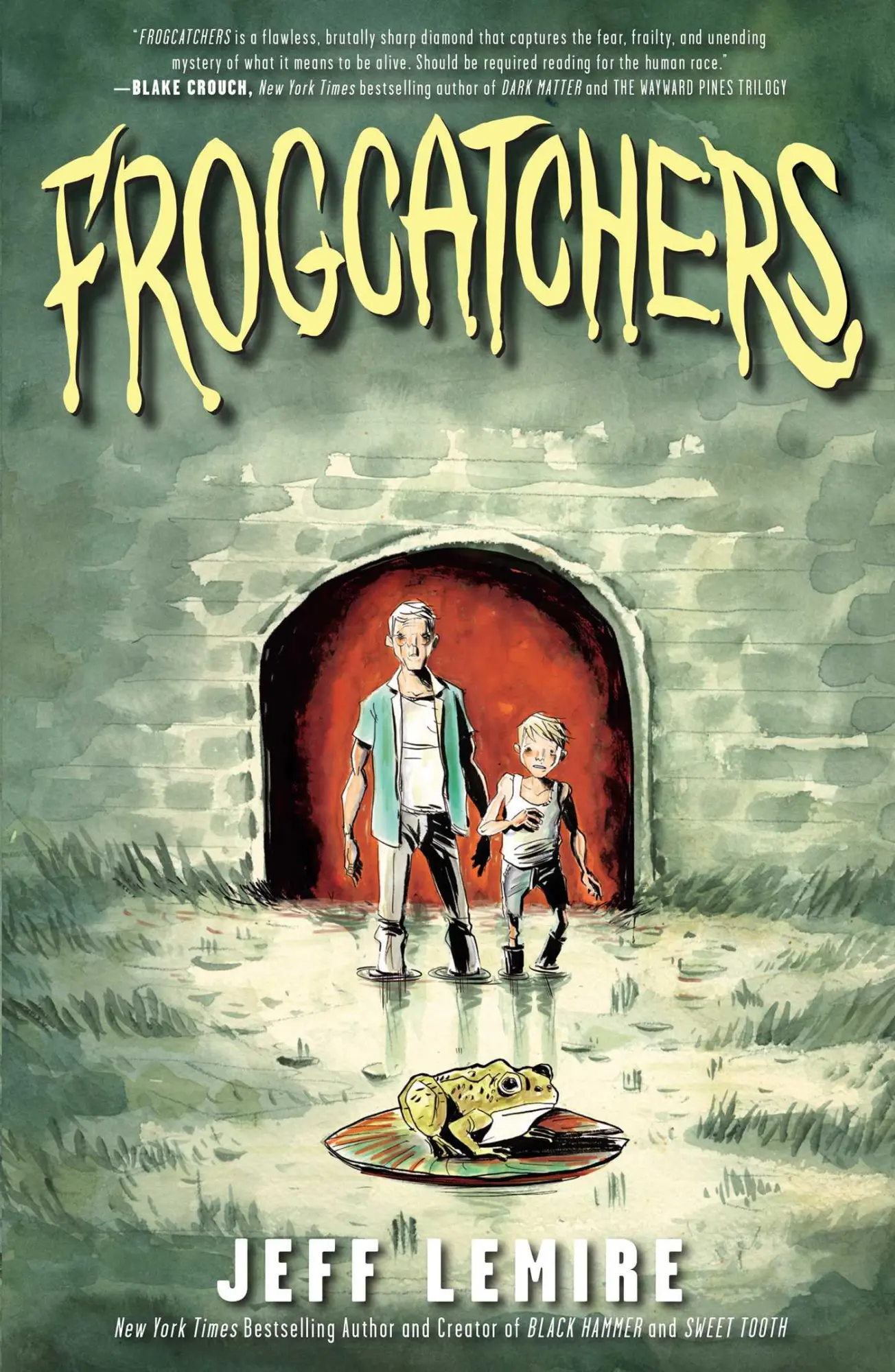 Cover: 9781982107376 | Frogcatchers | Jeff Lemire | Buch | Gebunden | Englisch | 2019