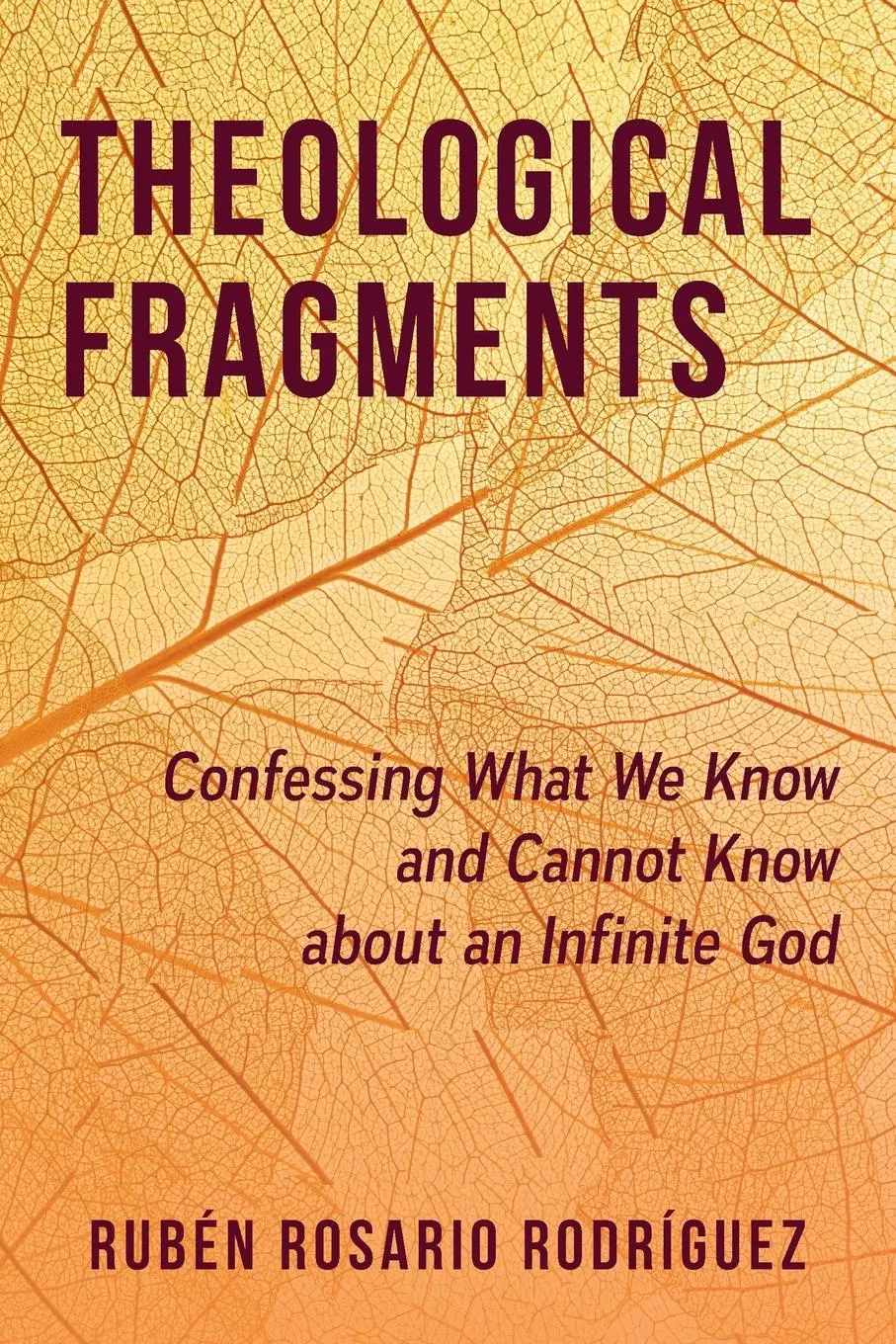 Cover: 9780664267476 | Theological Fragments | Ruben Rosario Rodriguez | Taschenbuch | 2023