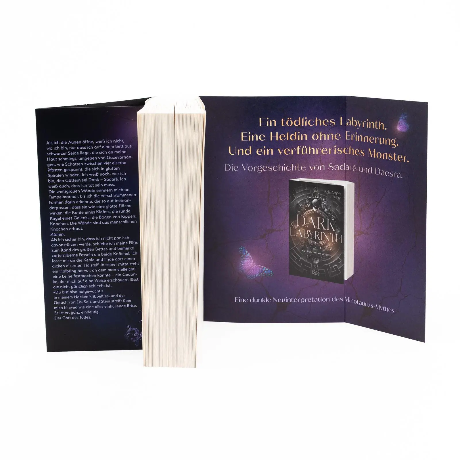 Bild: 9783499017476 | Dark Descent - Göttliche Rivalen | Adrianne May | Taschenbuch | 496 S.