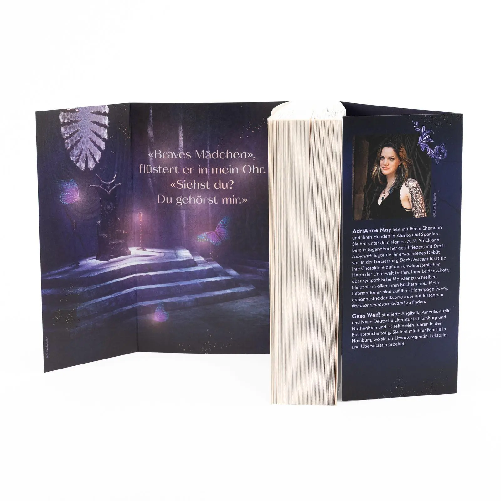 Bild: 9783499017476 | Dark Descent - Göttliche Rivalen | Adrianne May | Taschenbuch | 496 S.