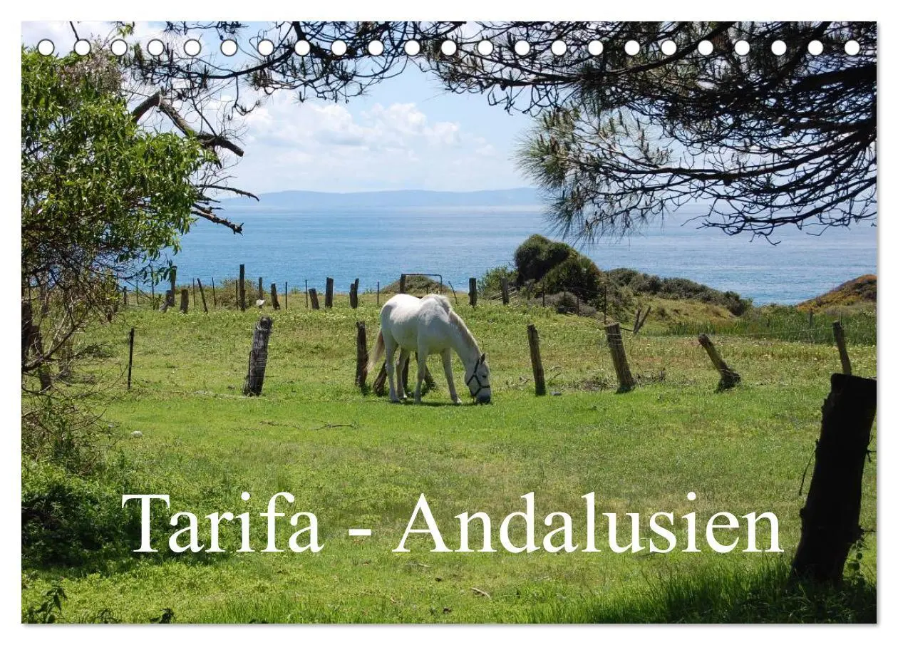 Cover: 9783516217476 | Tarifa - Andalusien (Tischkalender 2026 DIN A5 quer), CALVENDO...