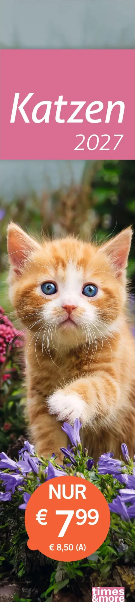 Cover: 9783756417476 | times&amp;more Katzen Langplaner 2027 | Heye | Kalender | Spiralbindung