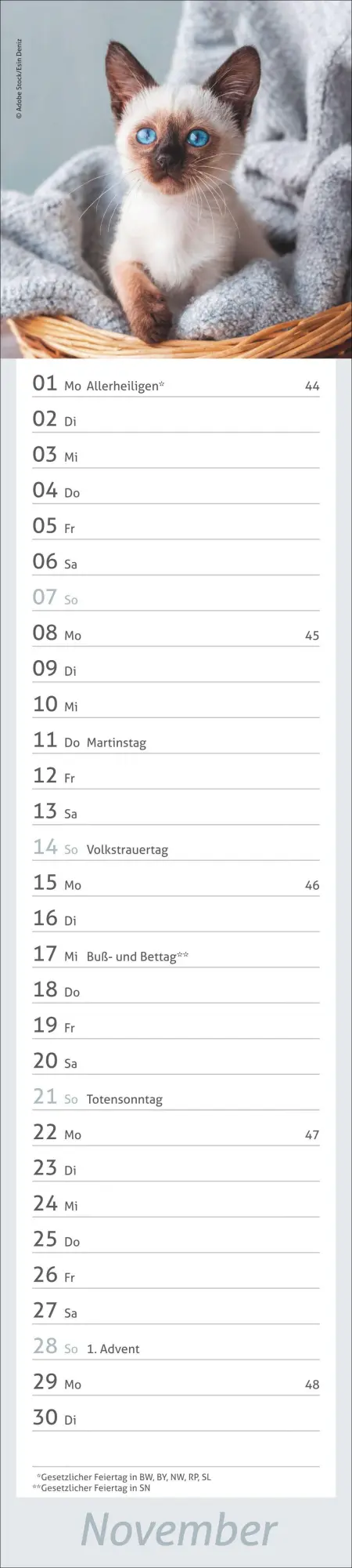 Bild: 9783756417476 | times&amp;more Katzen Langplaner 2027 | Heye | Kalender | Spiralbindung
