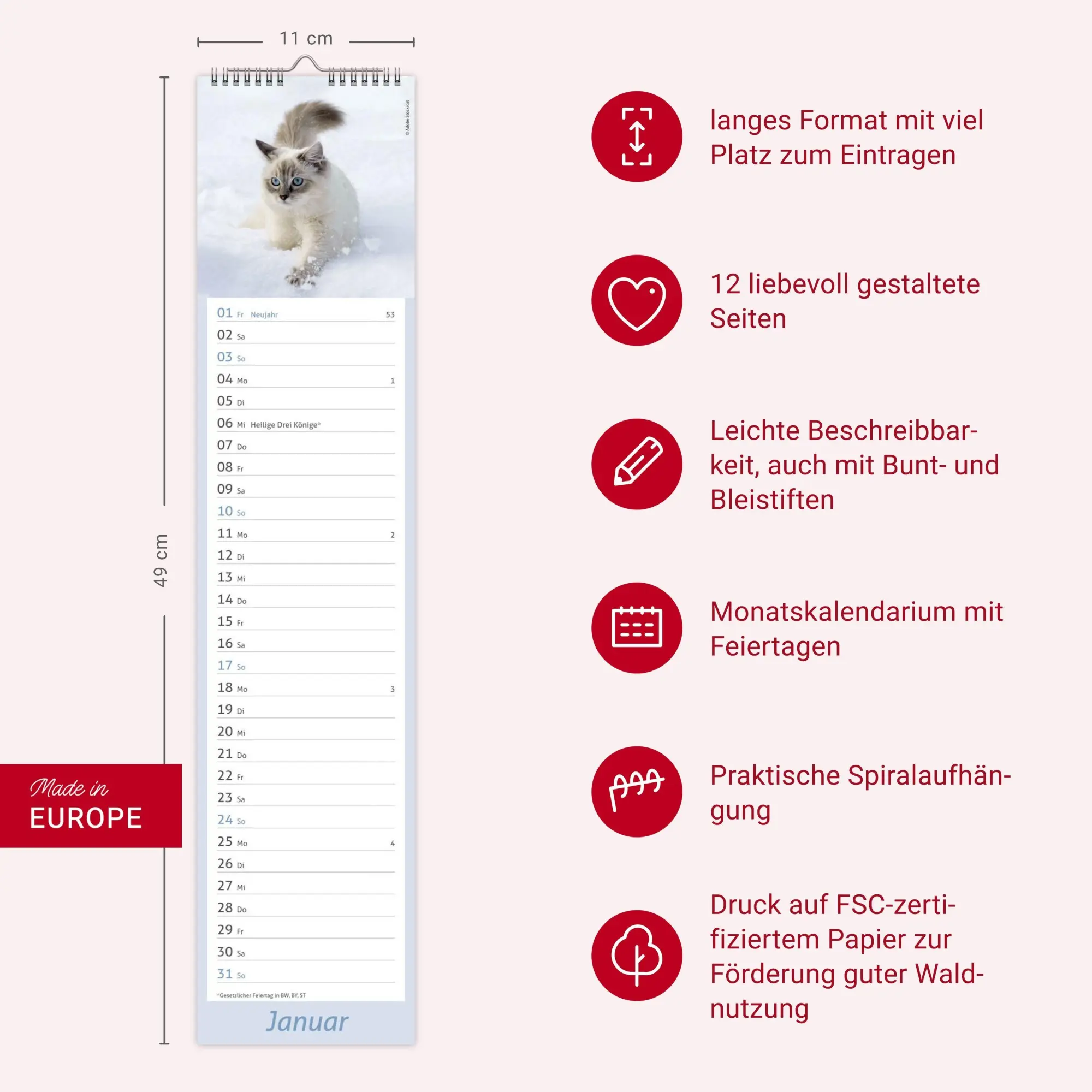 Bild: 9783756417476 | times&amp;more Katzen Langplaner 2027 | Heye | Kalender | Spiralbindung