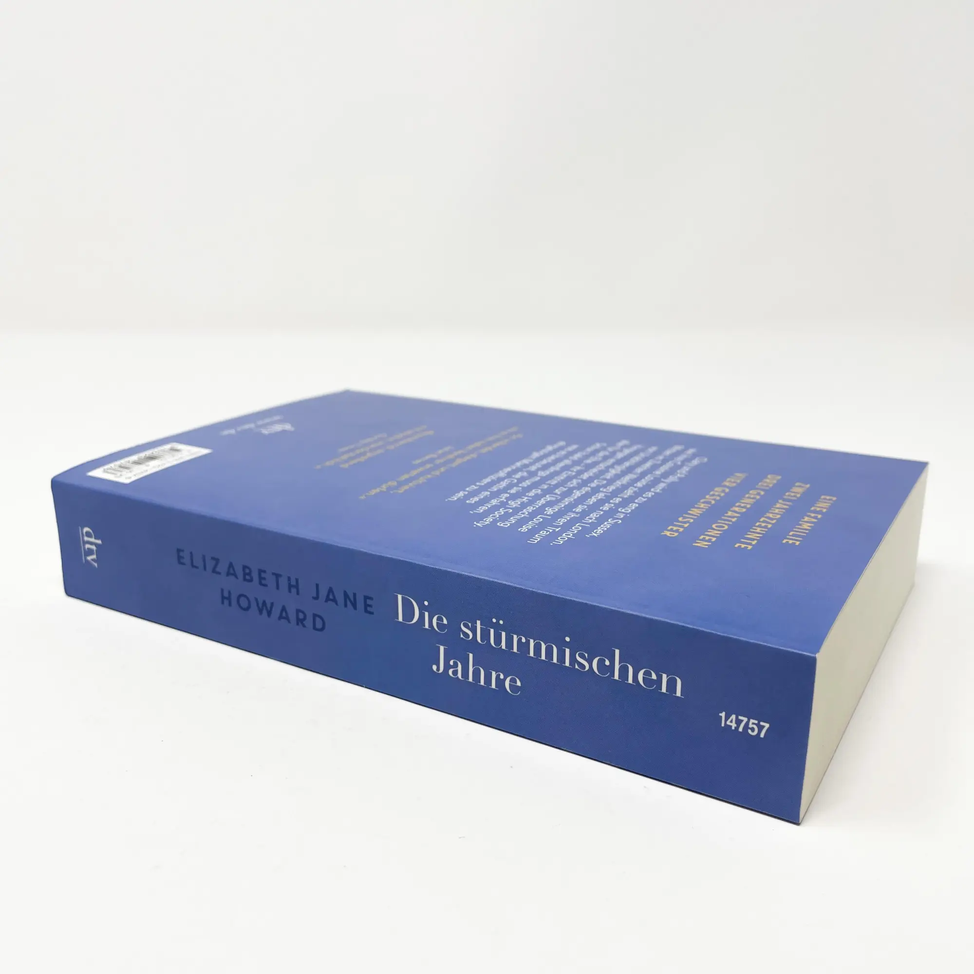 Bild: 9783423147576 | Die stürmischen Jahre | Die Chronik der Familie Cazalet - Roman | Buch