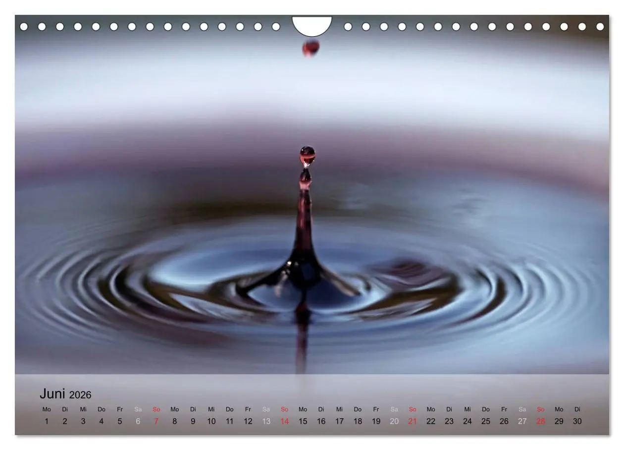 Bild: 9783516207576 | Wein schmeckt fein (Wandkalender 2026 DIN A4 quer), CALVENDO...