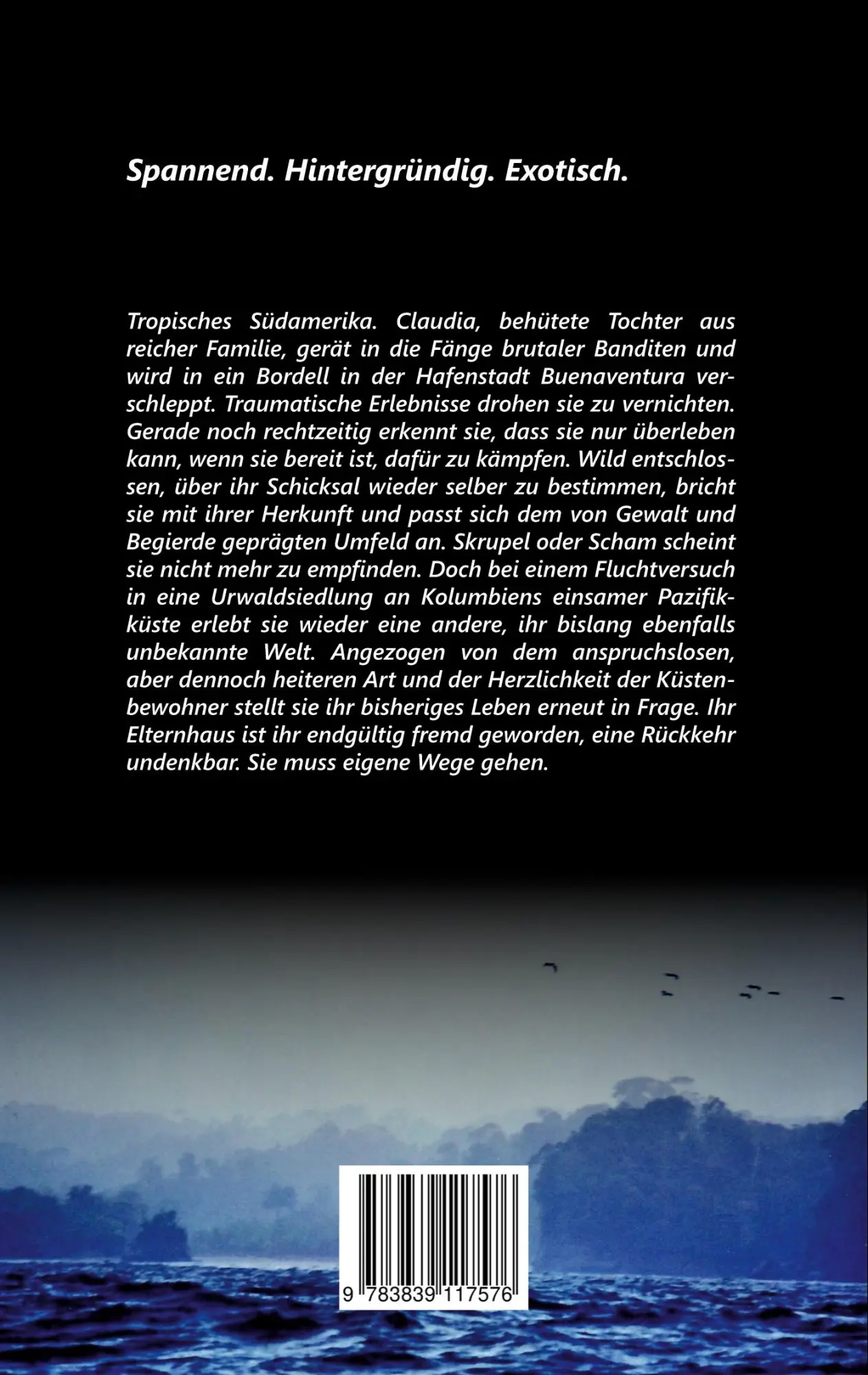 Rückseite: 9783839117576 | Schreie über dem Stillen Ozean | Manfred Hoffmann | Taschenbuch | 2025