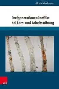 Cover: 9783847107576 | Dreigenerationenkonflikt bei Lern- und Arbeitsstörung | Weidemann