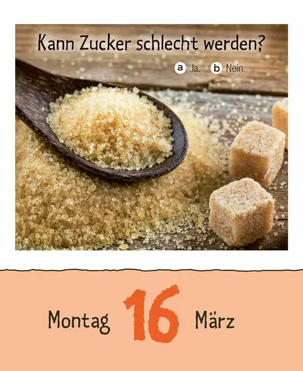 Bild: 9783731887676 | Kinderwissen 2026 | Verlag Korsch | Kalender | 328 S. | Deutsch | 2026