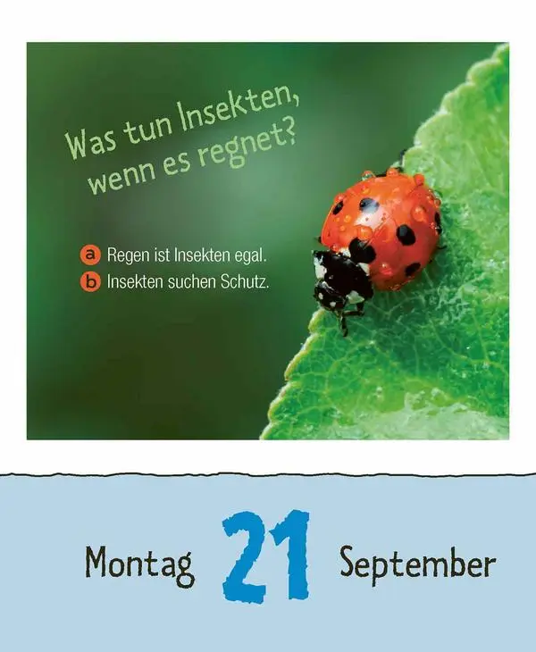 Bild: 9783731887676 | Kinderwissen 2026 | Verlag Korsch | Kalender | 328 S. | Deutsch | 2026