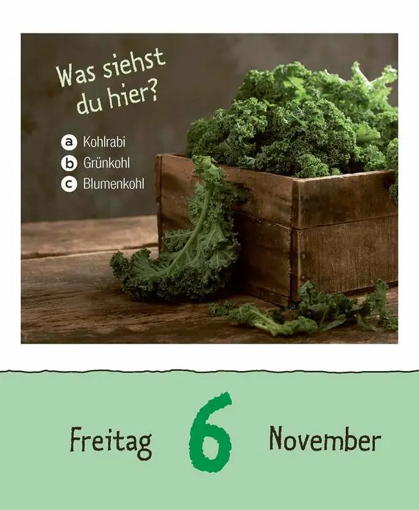 Bild: 9783731887676 | Kinderwissen 2026 | Verlag Korsch | Kalender | 328 S. | Deutsch | 2026