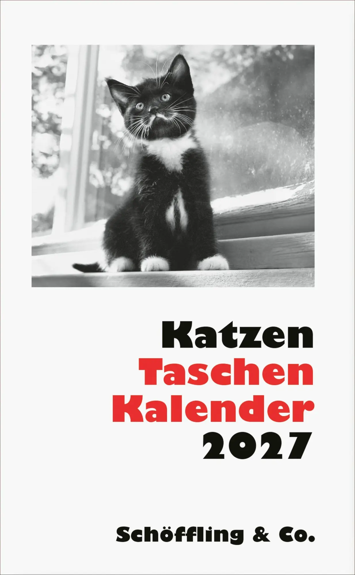 Cover: 9783895617676 | Katzen Taschenkalender 2027 | Julia Bachstein | Kalender | 144 S.
