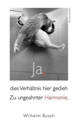 Bild: 9783895617676 | Katzen Taschenkalender 2027 | Julia Bachstein | Kalender | 144 S.