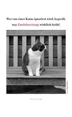 Bild: 9783895617676 | Katzen Taschenkalender 2027 | Julia Bachstein | Kalender | 144 S.