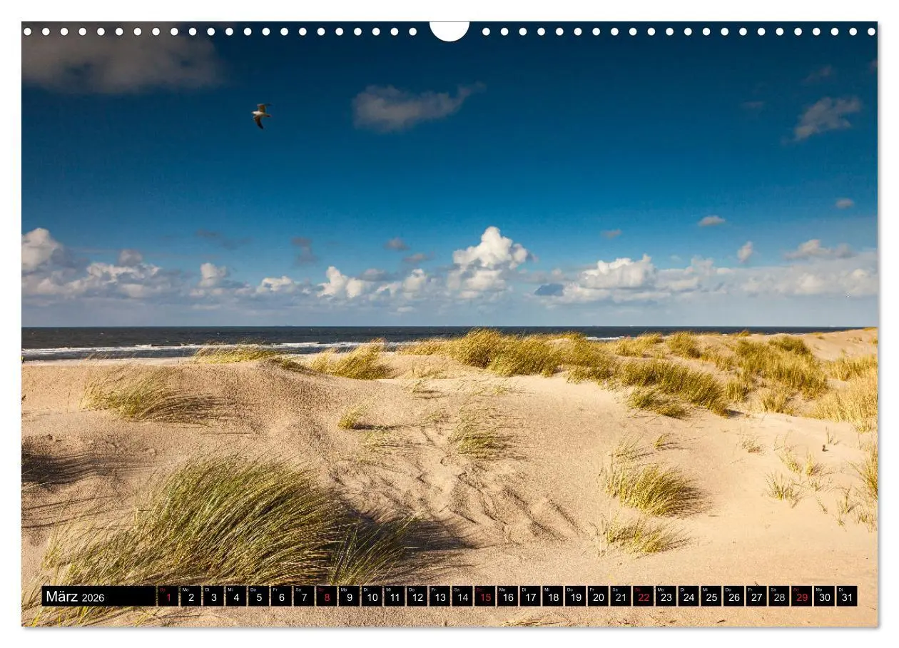 Bild: 9783457267776 | Insel Spiekeroog (Wandkalender 2026 DIN A3 quer), CALVENDO...