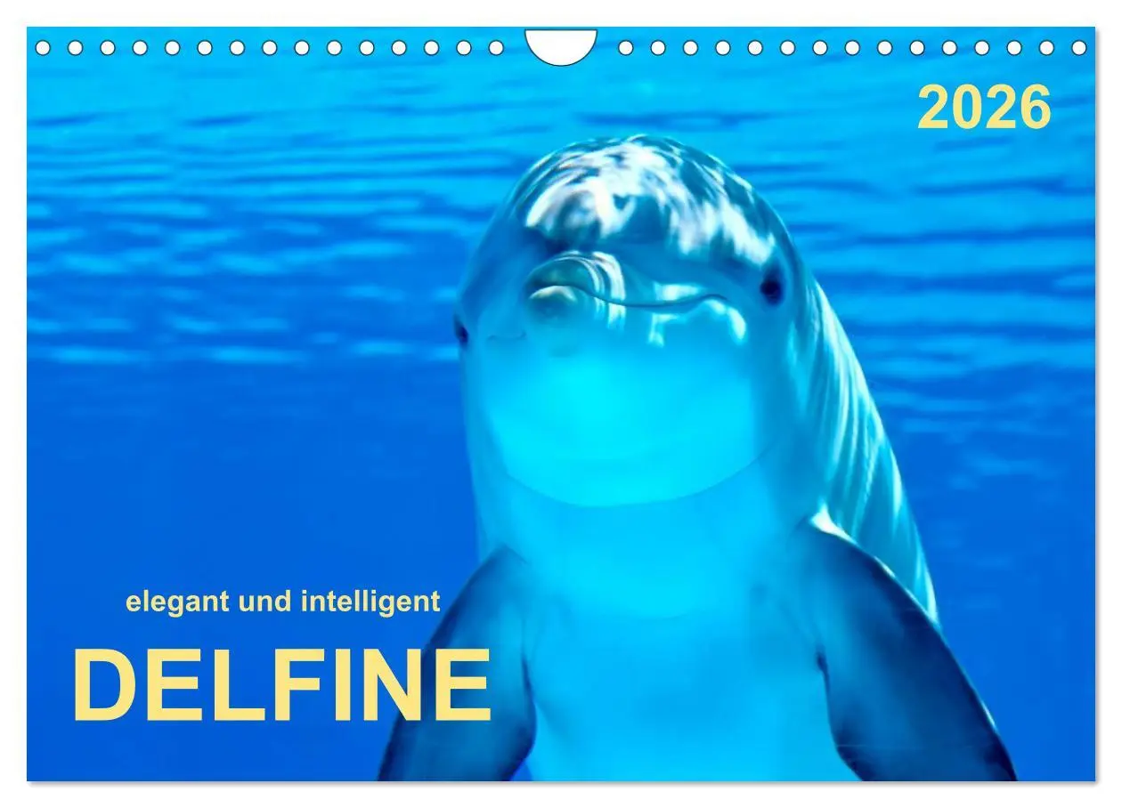 Cover: 9783516047776 | Delfine - elegant und intelligent (Wandkalender 2026 DIN A4 quer),...