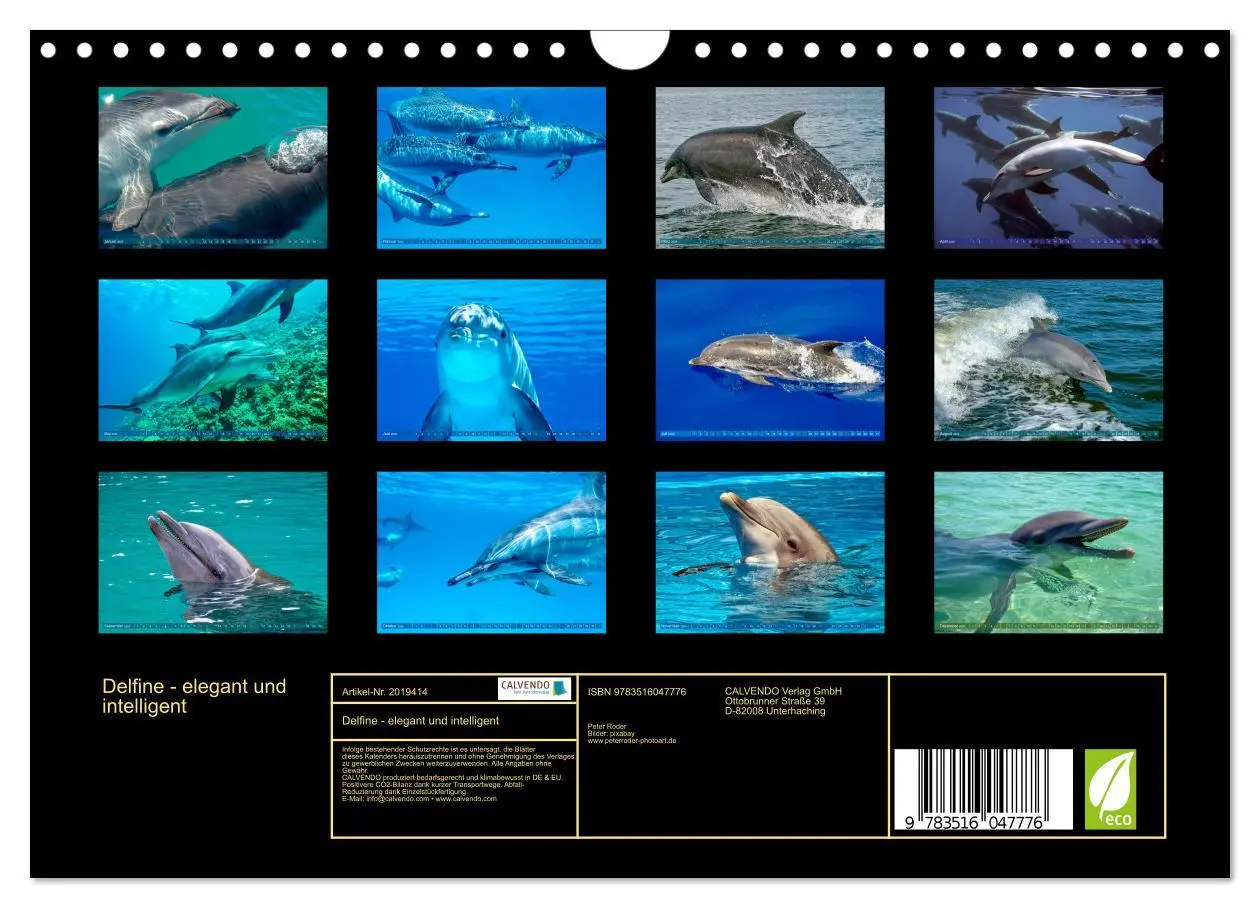 Bild: 9783516047776 | Delfine - elegant und intelligent (Wandkalender 2026 DIN A4 quer),...